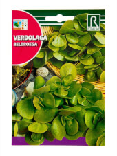 Rocalba Summer Purslane
