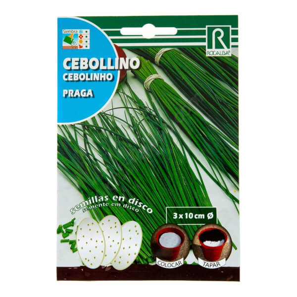 Rocalba Chive Praga Seeds Disc