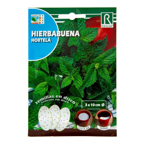 Samenscheiben Mint Rocalba