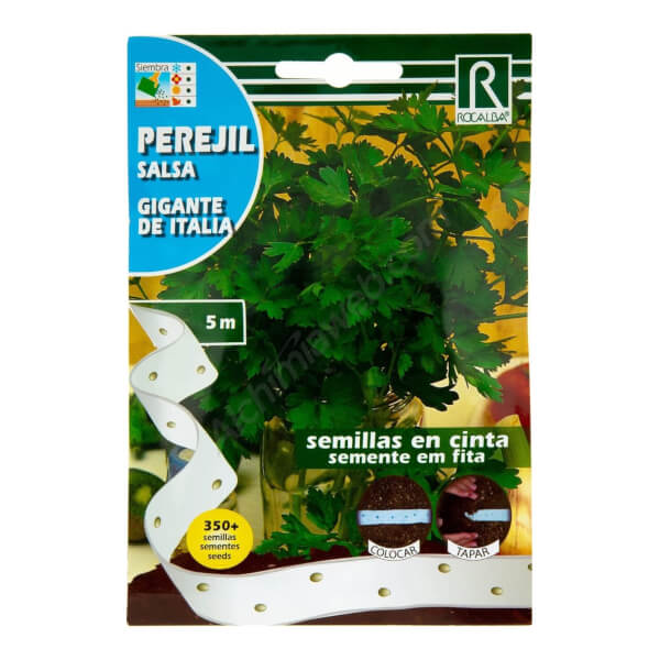 Cintas de Perejil Gigante de Italia - Rocalba