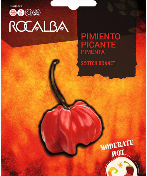 Piment Scotch Bonnet