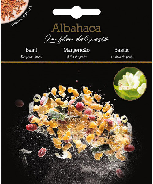 Albahaca