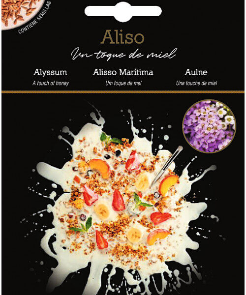 Alyssum