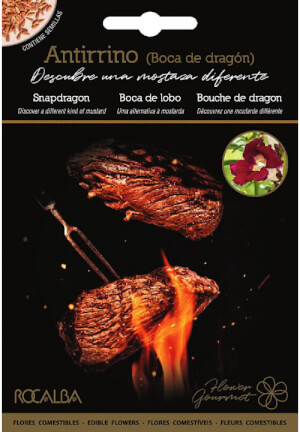 Antirrhinum (Bouche de Dragon)