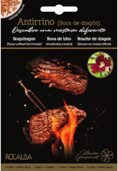 Antirrhinum (Bouche de Dragon)