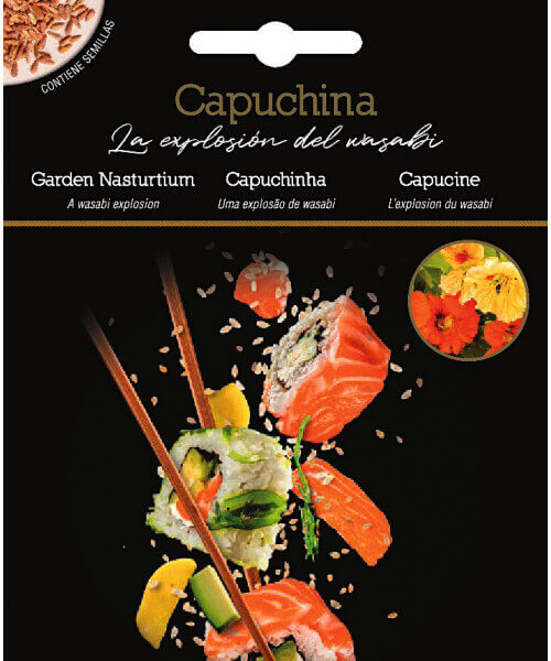 Garden Nasturtium