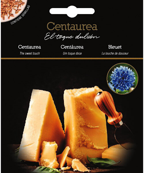 Centaurea