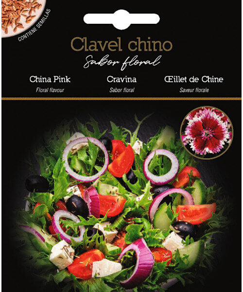 Clavel Chino