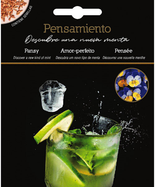 Pansy