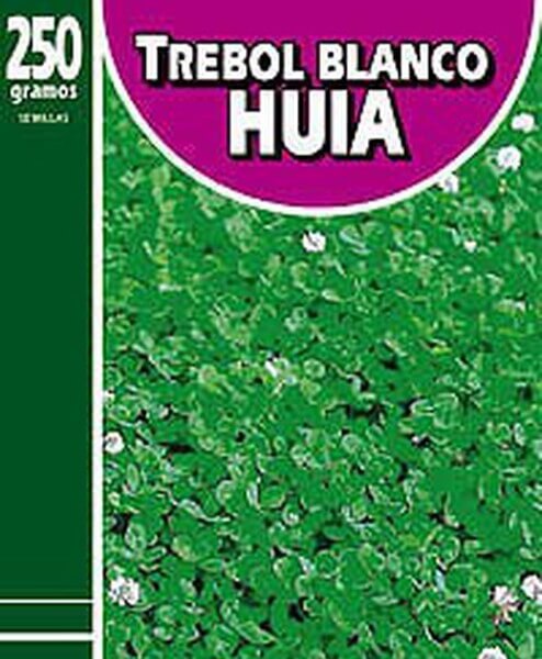 Trèfle blanc Huia
