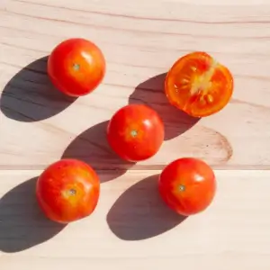 Cherry Bigarrée Isis Candy Cherry Tomato
