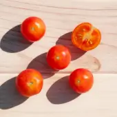 Bigarrée Isis Candy Cherry tomato