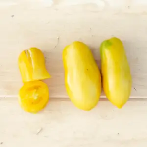 Tomate Jaune Précoce Yellow Bell Tomate
