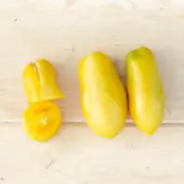 Tomate Jaune Précoce Yellow Bell