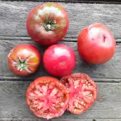 Tomate Negro de Crimea Kokopelli