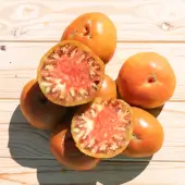 Tomate Paul Robeson - Kokopelli