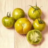 Zwischensaison Grüne Tomate Green Zebra Kokopelli