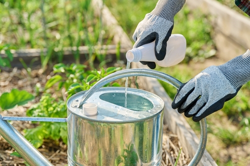 Engrais pour commencer à cultiver du cannabis