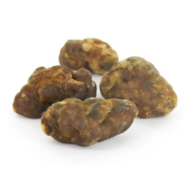 Valhalla, super potent magic truffles