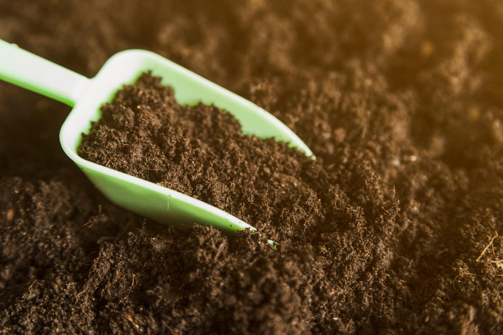 Apprenez à cultiver en Supersoil avec Dogma Organics