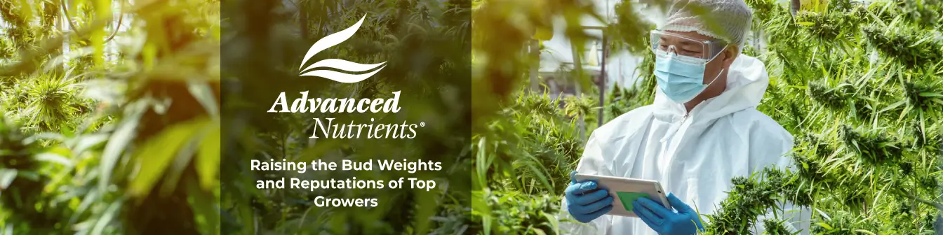Advanced Nutrients