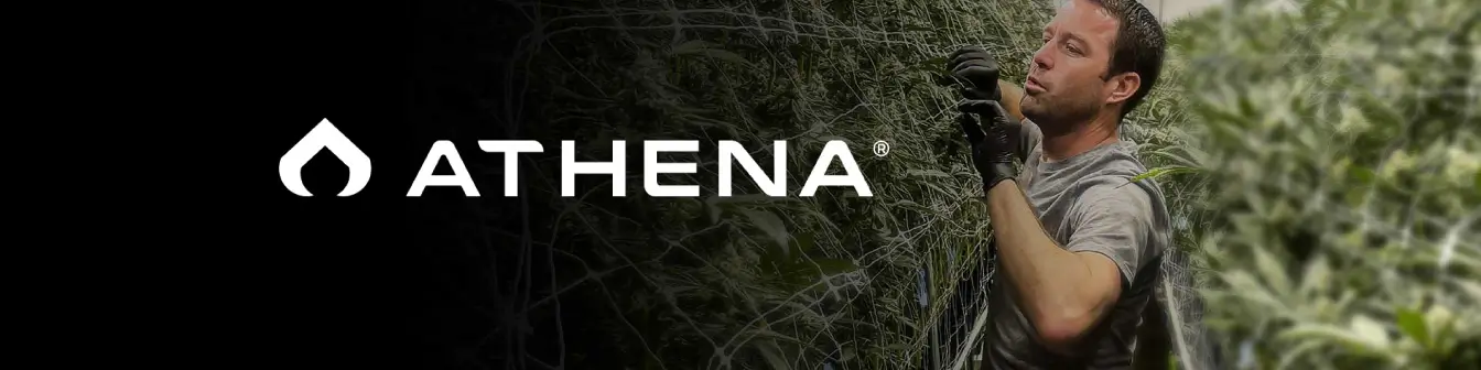 Athena