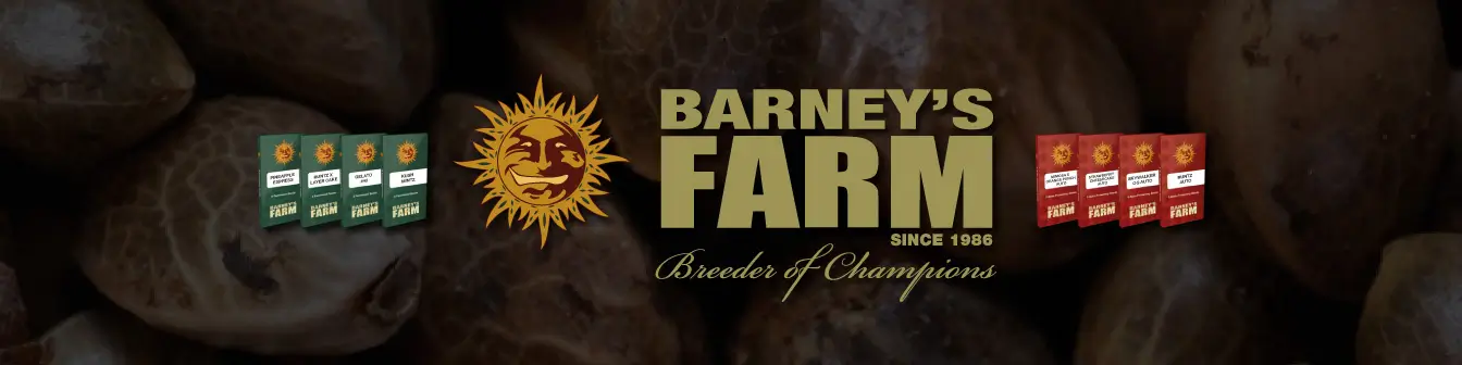 Barneys Farm