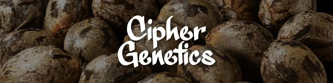 Cipher Genetics