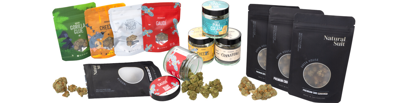 Cogollos de cannabis con CBD