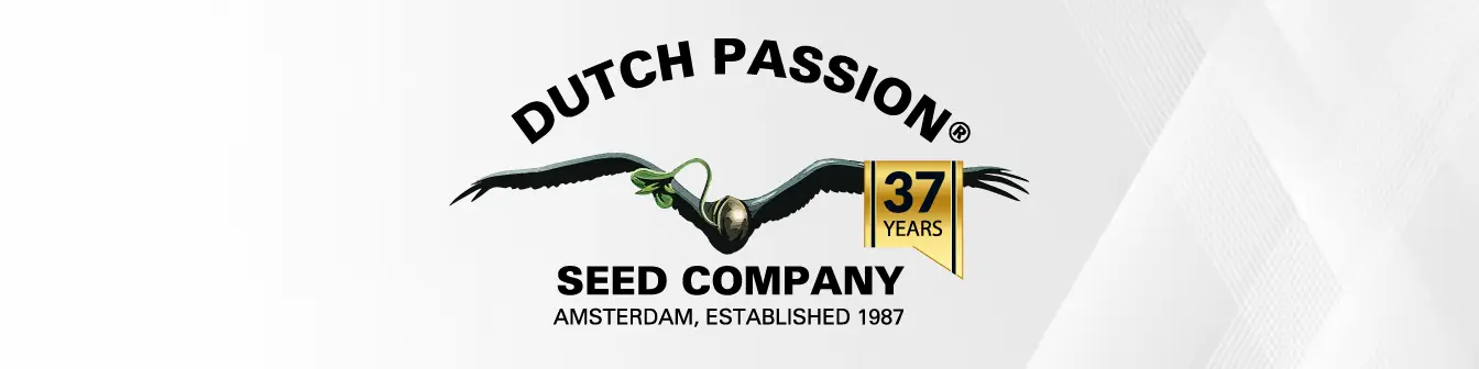 Dutch Passion