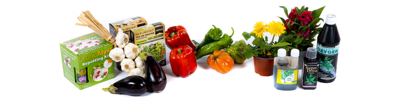 Jardin et Potager