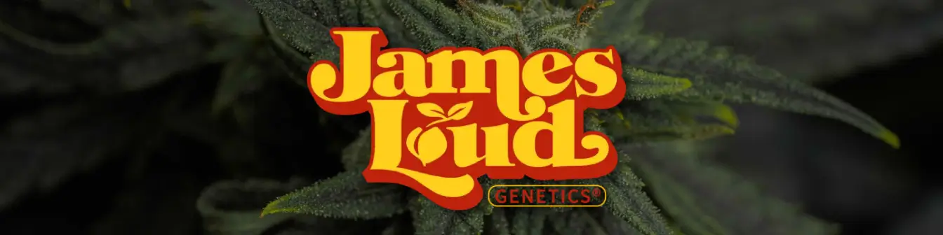 James Loud Genetics