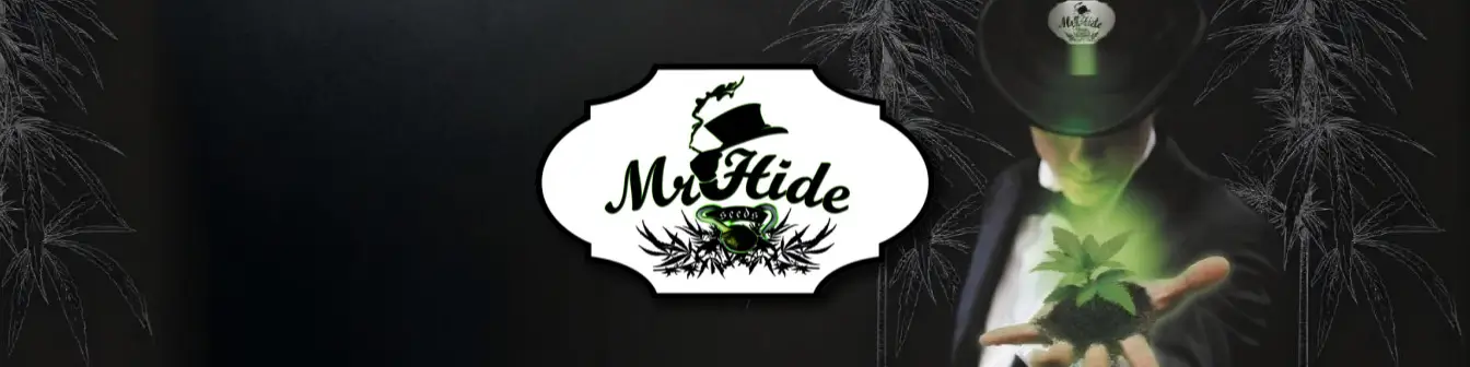 Mr. Hide Seeds