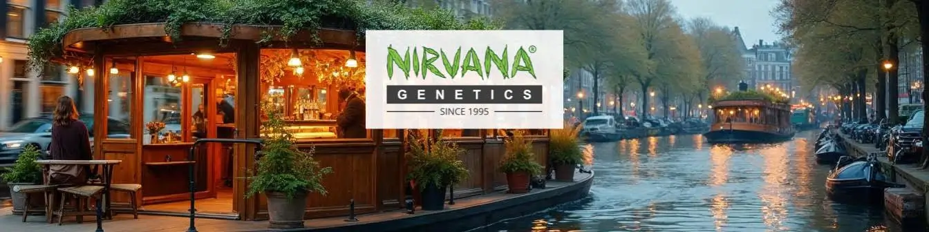Nirvana