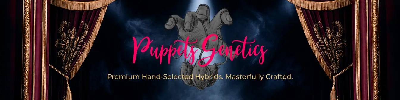 Puppets Genetics