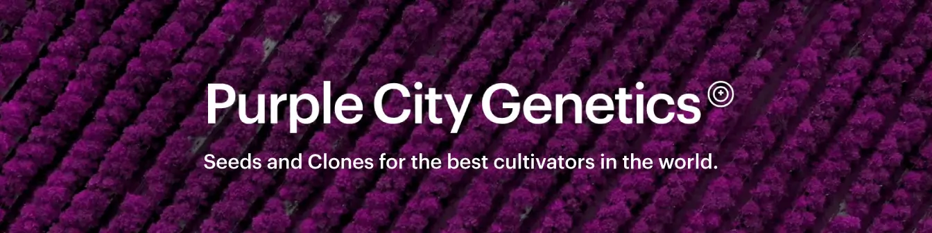 Purple City Genetics
