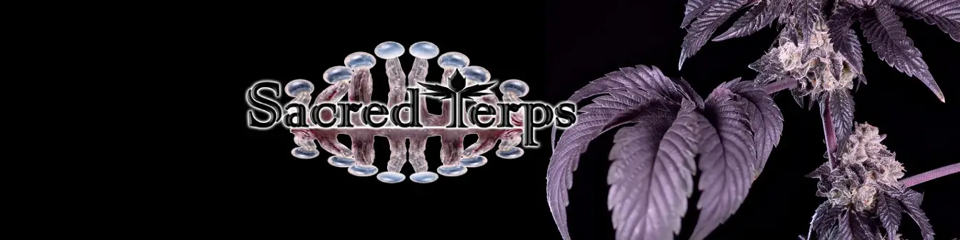 Sacred Terps