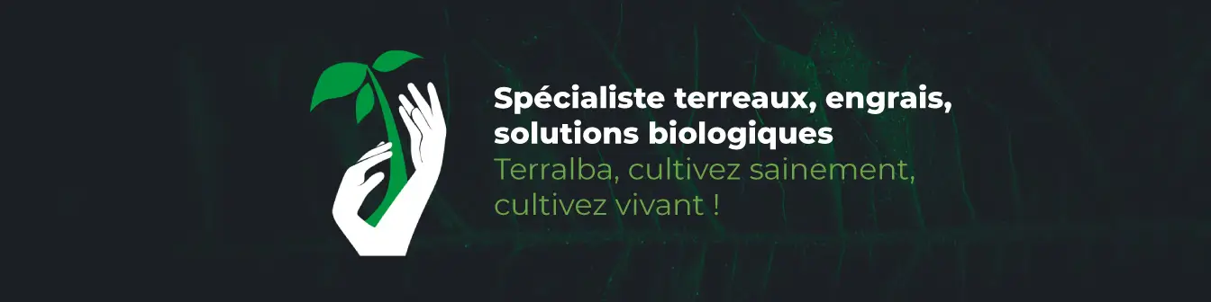 Terralba
