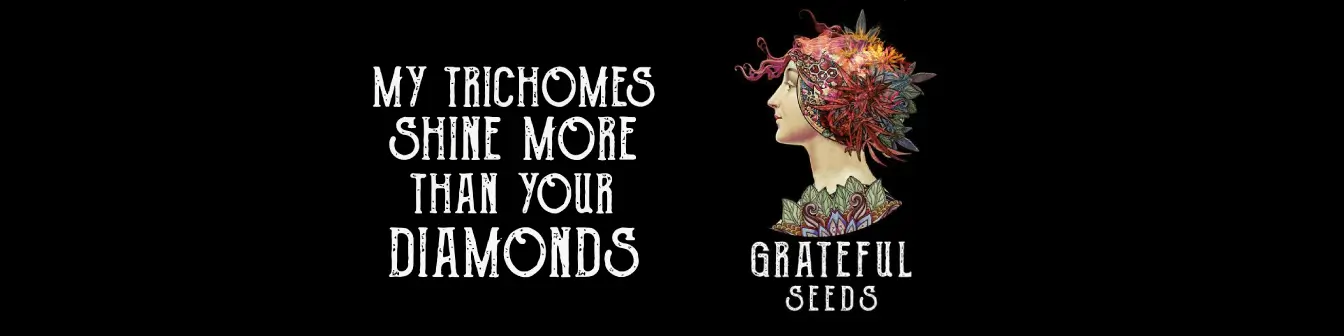 The Grateful Seeds