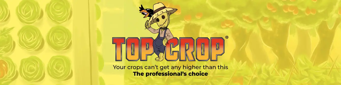 Top Crop