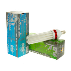 Low consumption lamps CFL