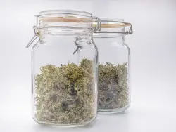 Curado y conservación de la marihuana