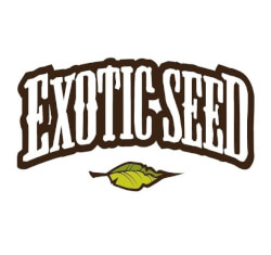 Exotic Seed