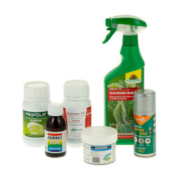 Pest control in cannabis