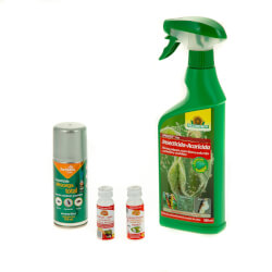 Insecticidas