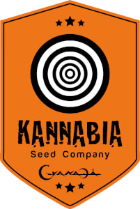 Kannabia