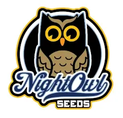 Night Owl Seeds