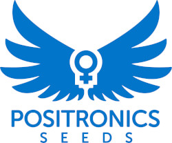 Positronics Seeds