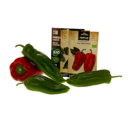 Graines de piments & poivrons