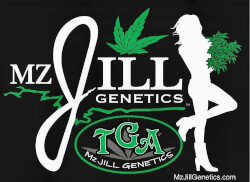 TGA Mz Jill Genetics